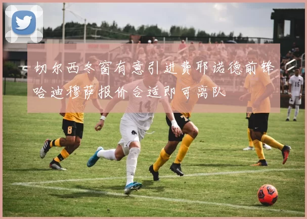 切尔西冬窗有意引进费耶诺德前锋哈迪穆萨报价合适即可离队